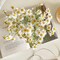 Small White Daisy Flowers Artificial,2 Bouquet/12Pcs 10 Inch Fake Daisies,Spring Wild Flower for Party Decor (Vase Not Inclouded)